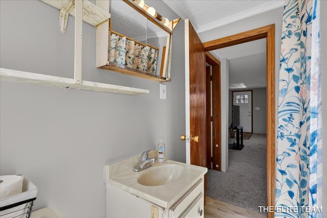 343 W Long Lake Road, Orleans Twp, MI 48865