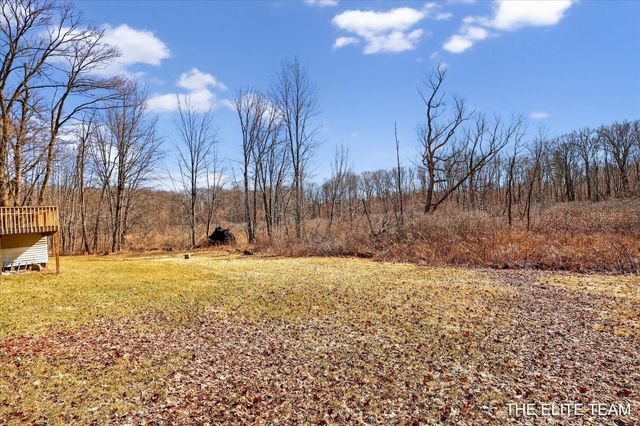 343 W Long Lake Road, Orleans Twp, MI 48865