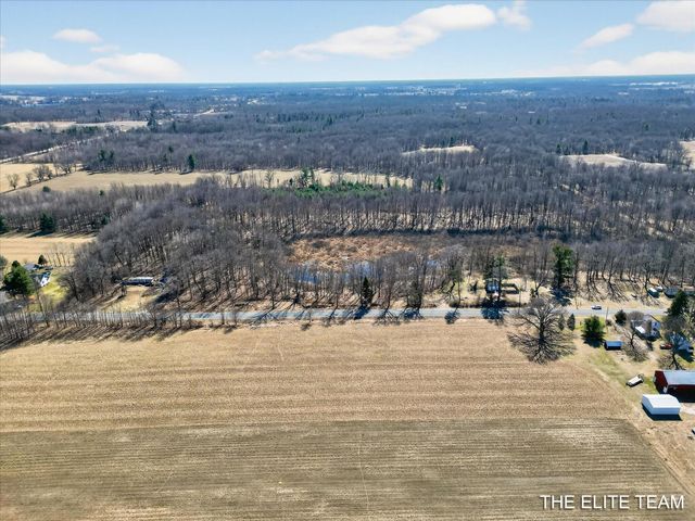 343 W Long Lake Road, Orleans Twp, MI 48865