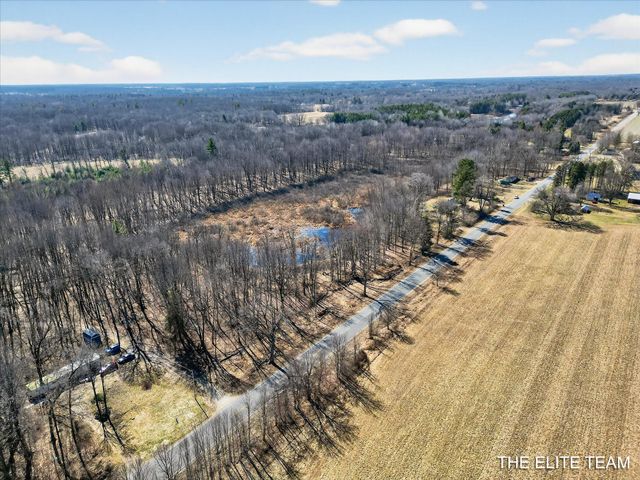 343 W Long Lake Road, Orleans Twp, MI 48865