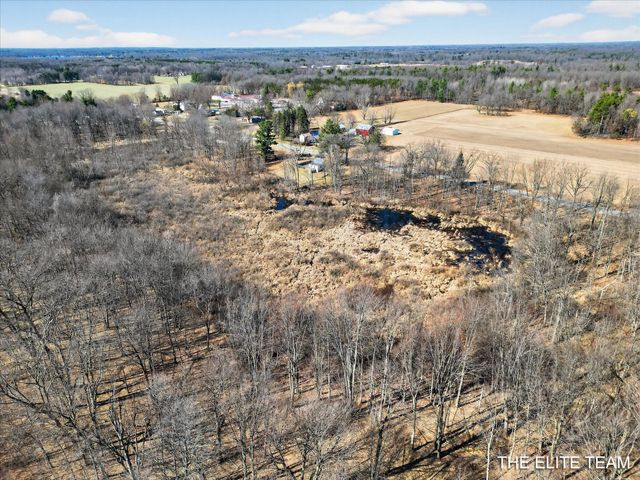 343 W Long Lake Road, Orleans Twp, MI 48865