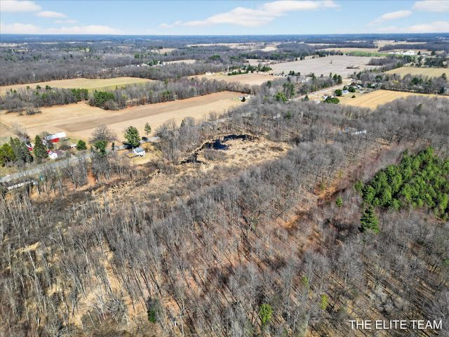 343 W Long Lake Road, Orleans Twp, MI 48865