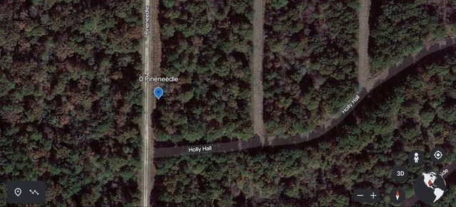 Lot 212 Pineneedle, Livingston, TX 77351