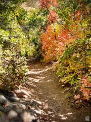 5028 S RIDGEDALE DR, Ogden, UT 84415