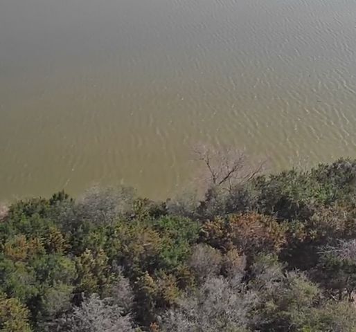 2881 Pathfinder Court, Granbury, TX 76048