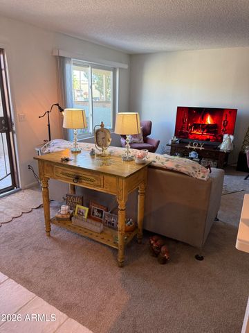 14248 N OAKWOOD Lane 164B, Fountain Hills, AZ 85268