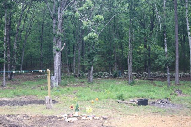 8798 Holly Mountain Road, Clinton, AR 72031
