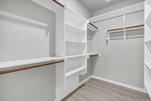 23206 Silver Chalice, Elmendorf, TX 78112