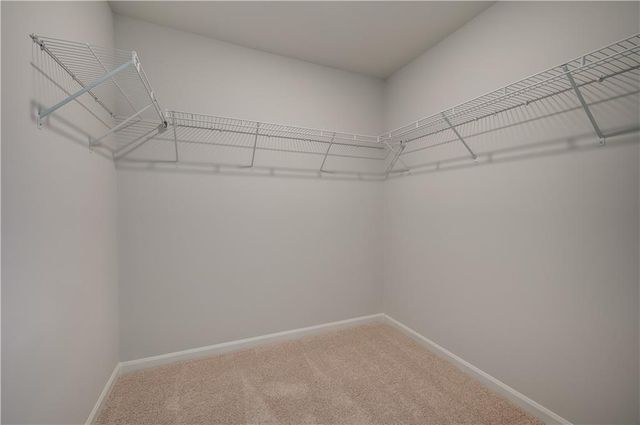 672 Leafy Branch Way, Mcdonough, GA 30253