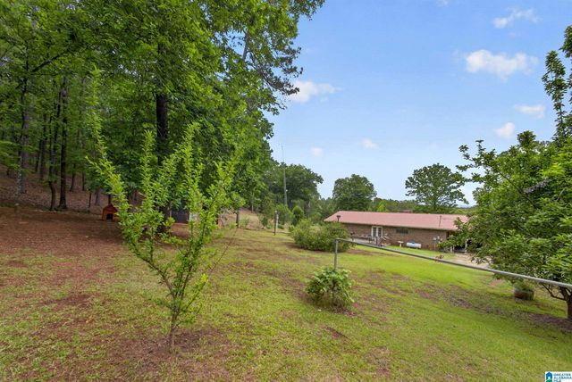 625 HAZELBROOK LANE, Alpine, AL 35014