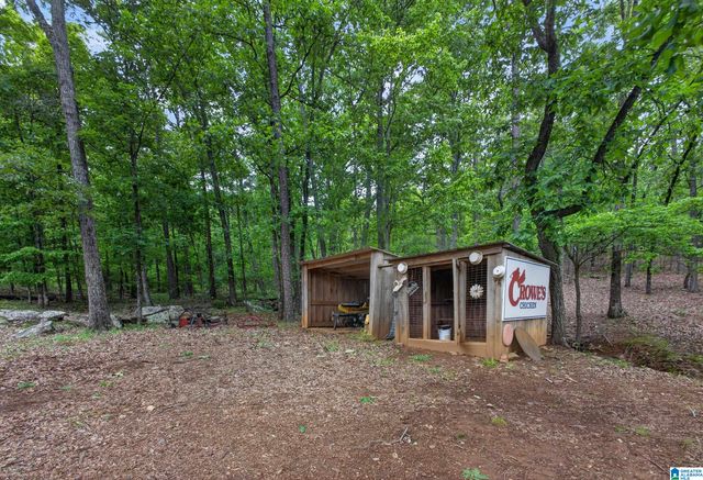 625 HAZELBROOK LANE, Alpine, AL 35014