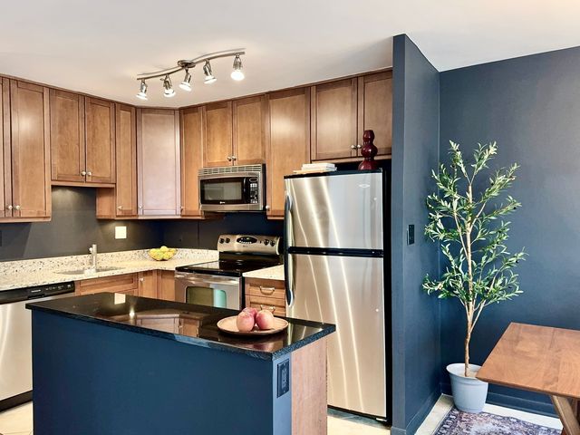 360 W Wellington Avenue 15D, Chicago, IL 60657