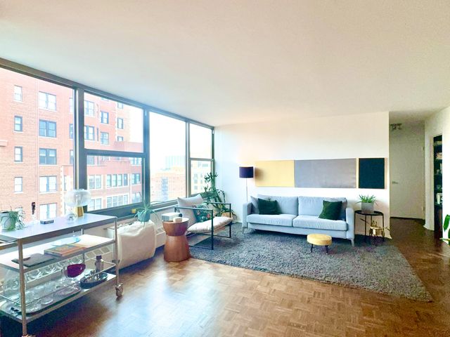 360 W Wellington Avenue 15D, Chicago, IL 60657