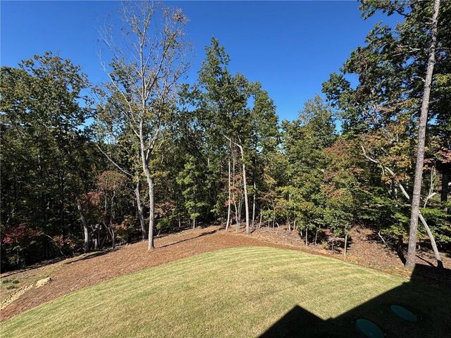 7375 Crestline Drive, Dawsonville, GA 30534