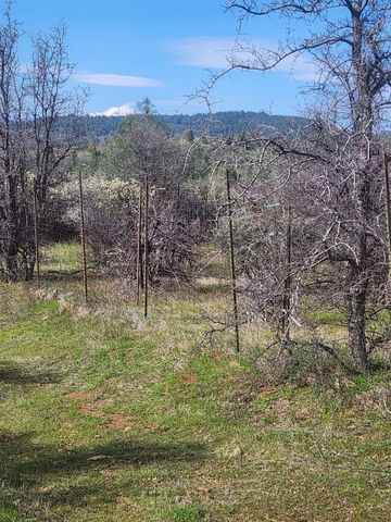 30077 California 299 East, Montgomery Creek, CA 96065