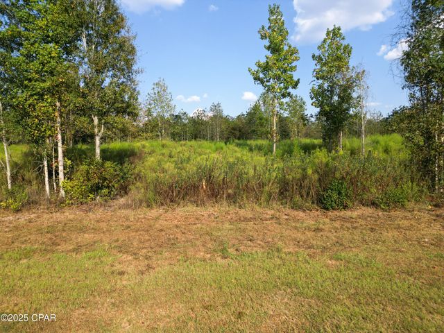 Parcel 4 1st Avenue, Graceville, FL 32440