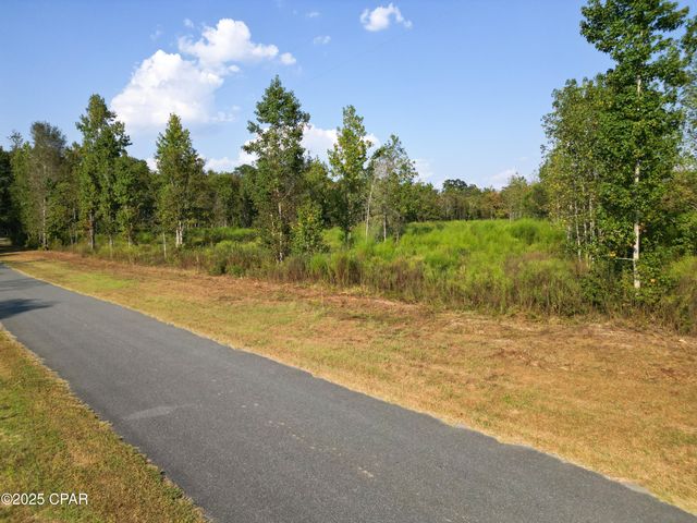 Parcel 4 1st Avenue, Graceville, FL 32440