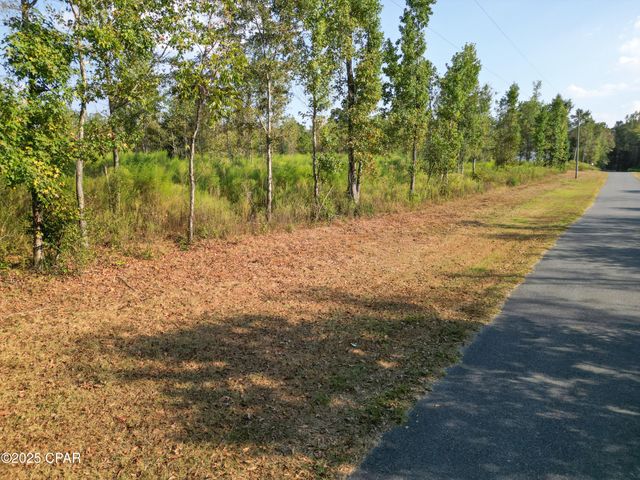 Parcel 4 1st Avenue, Graceville, FL 32440