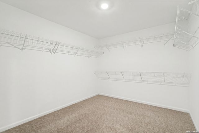 2943 FORSYTH CYN, Converse, TX 78109