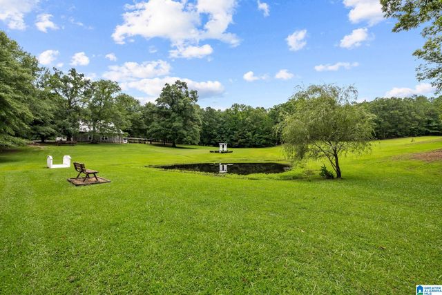 860 SWEET APPLE ROAD, Pell City, AL 35128
