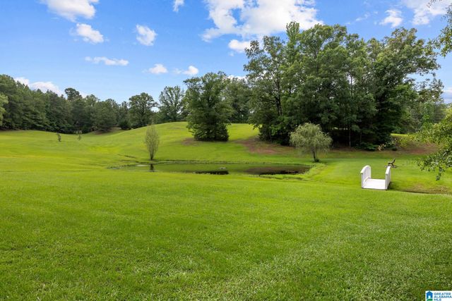 860 SWEET APPLE ROAD, Pell City, AL 35128