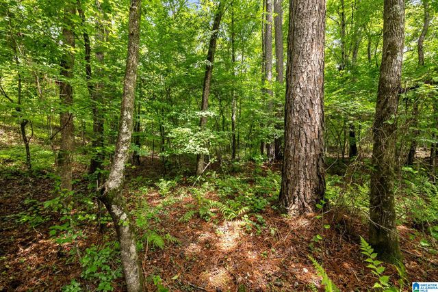 860 SWEET APPLE ROAD, Pell City, AL 35128