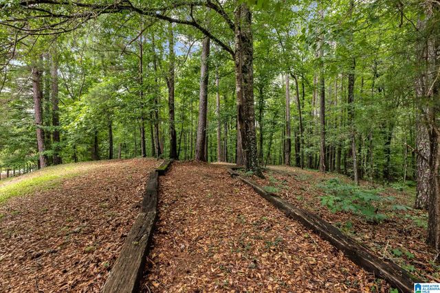 860 SWEET APPLE ROAD, Pell City, AL 35128