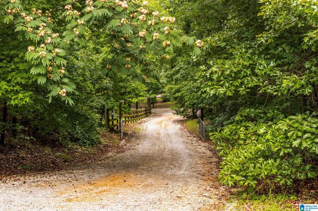 860 SWEET APPLE ROAD, Pell City, AL 35128