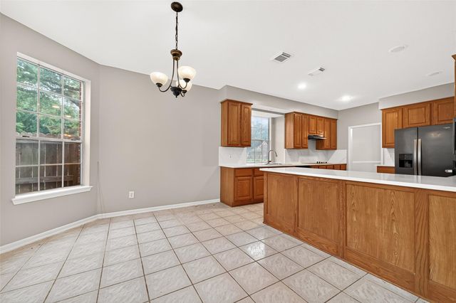 19102 Weeping Oak Court, Spring, TX 77388