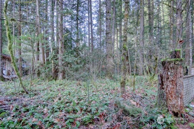 22 1 Goldrush Road, Deming, WA 98244