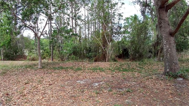 3842 STONEFIELD DRIVE, Orlando, FL 32826