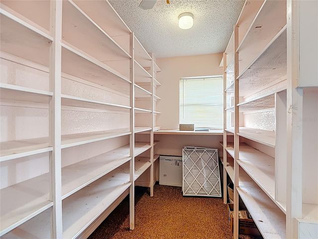 247 S LAKE PANSY DRIVE, Winter Haven, FL 33881