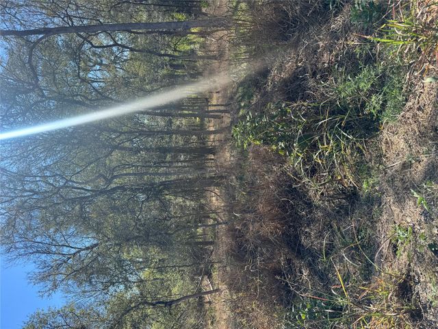 221 Kahana LN, Bastrop, TX 78602