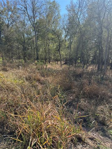 221 Kahana LN, Bastrop, TX 78602