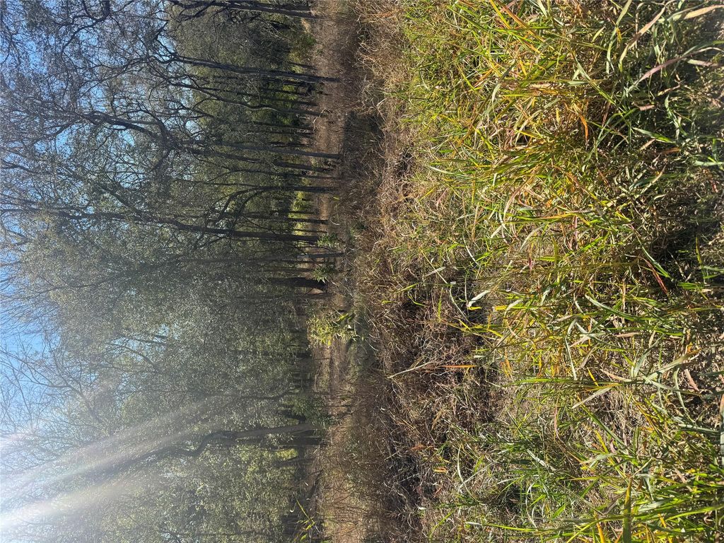 221 Kahana LN, Bastrop, TX 78602