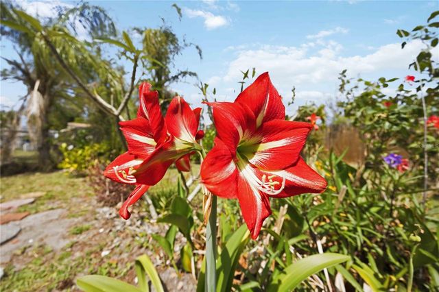 917 CHURCH STREET, Venice, FL 34285