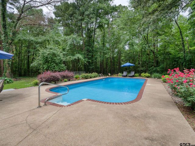 14121 Pine Overlook Dr, Flint, TX 75762