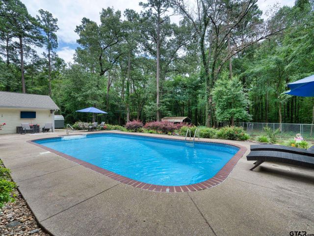 14121 Pine Overlook Dr, Flint, TX 75762