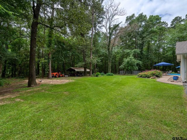 14121 Pine Overlook Dr, Flint, TX 75762