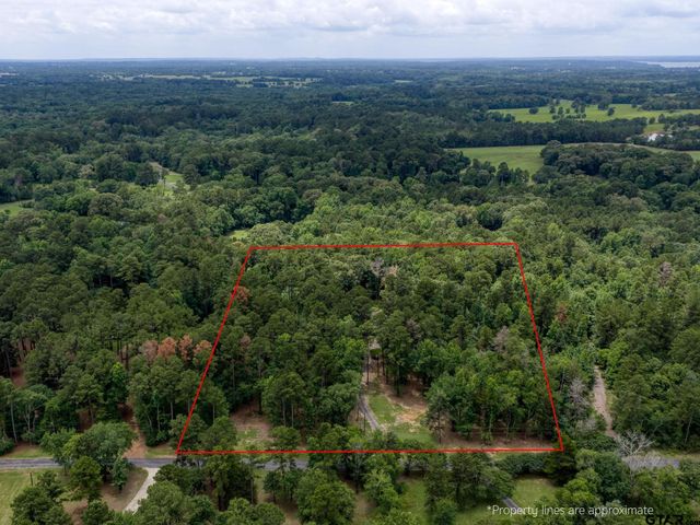 14121 Pine Overlook Dr, Flint, TX 75762