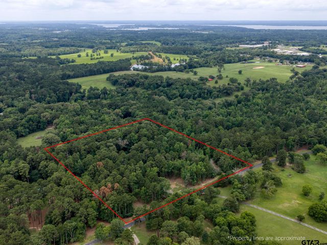 14121 Pine Overlook Dr, Flint, TX 75762
