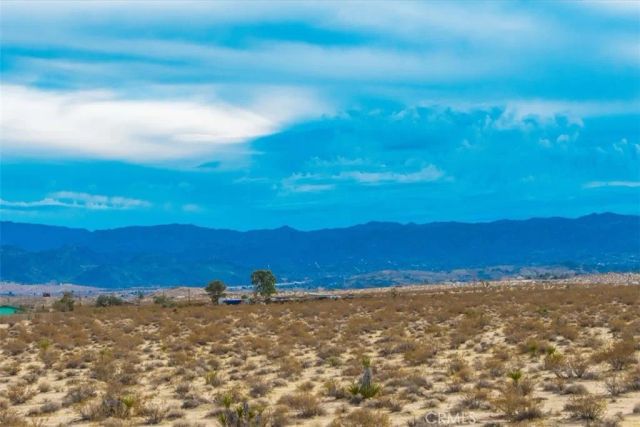 62155 Moonlight Mesa, Joshua Tree, CA 92252