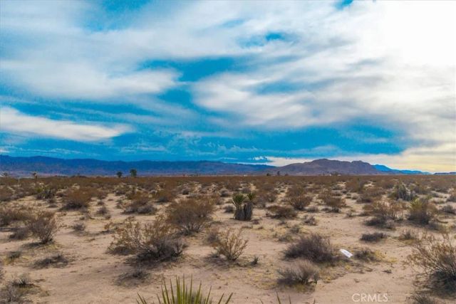 62155 Moonlight Mesa, Joshua Tree, CA 92252