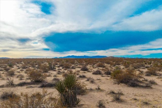 62155 Moonlight Mesa, Joshua Tree, CA 92252