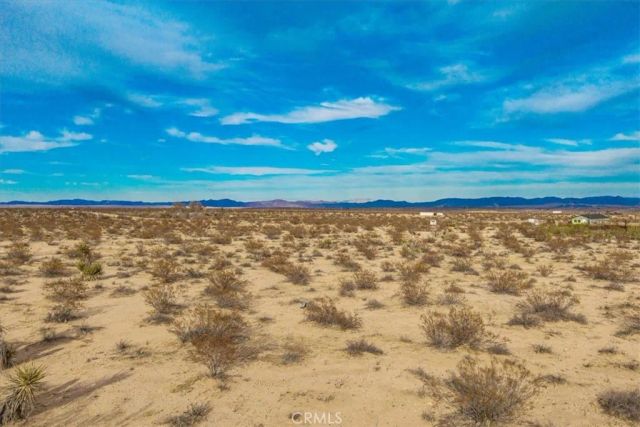 62155 Moonlight Mesa, Joshua Tree, CA 92252