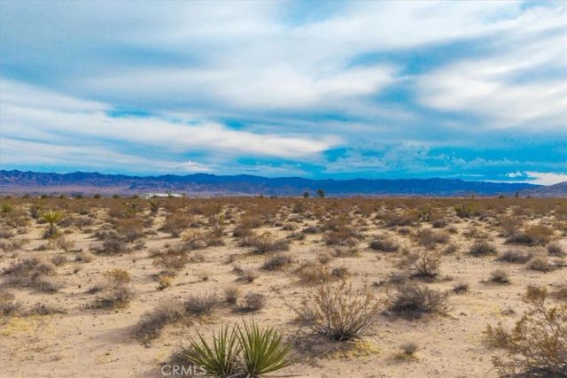 62155 Moonlight Mesa, Joshua Tree, CA 92252