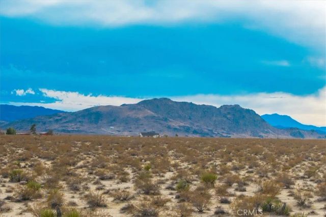 62155 Moonlight Mesa, Joshua Tree, CA 92252