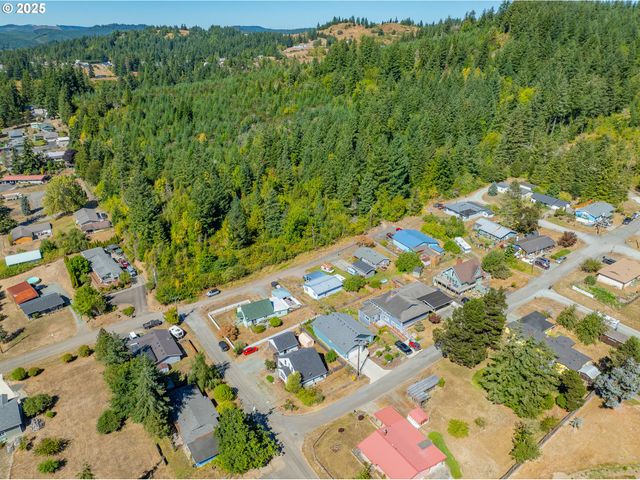 1753 20TH St, Myrtle Point, OR 97458