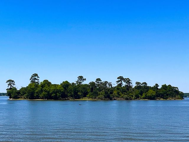 231 Memphis Bell, Trinity, TX 75862