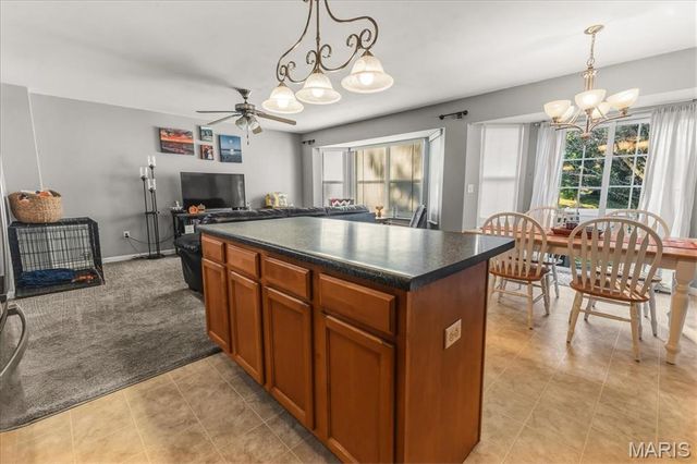 1913 Richmond Springs Lane, Belleville, IL 62220